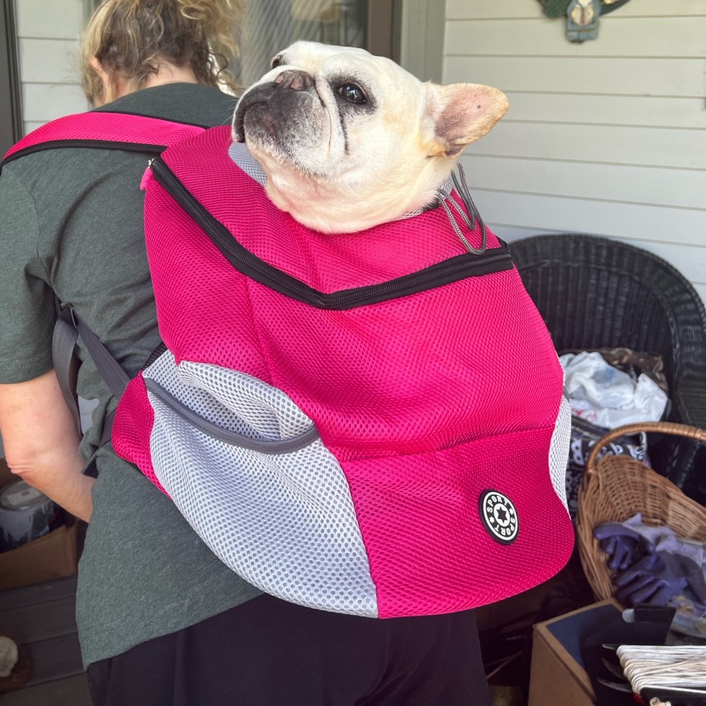 Dog carrier NWOT